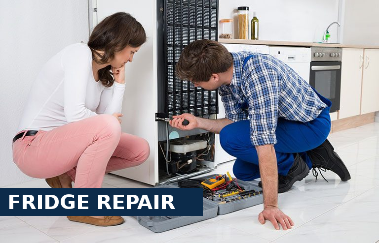 Fridge Repair Beckenham
